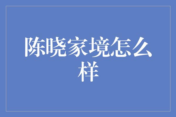 陈晓家境怎么样