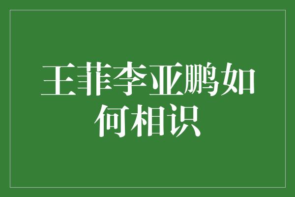 王菲李亚鹏如何相识