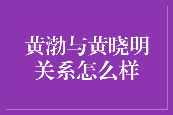 黄渤与黄晓明关系怎么样