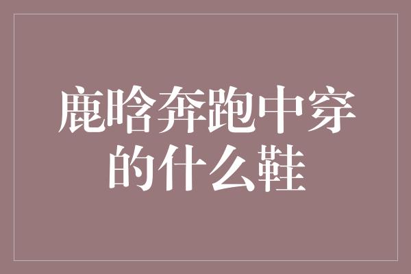 鹿晗奔跑中穿的什么鞋