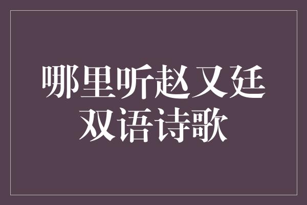 哪里听赵又廷双语诗歌