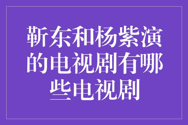 靳东和杨紫演的电视剧有哪些电视剧