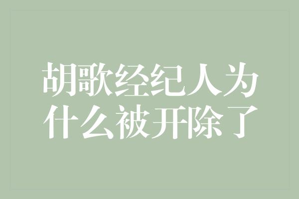 胡歌经纪人为什么被开除了