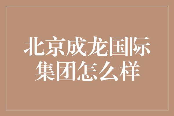 北京成龙国际集团怎么样