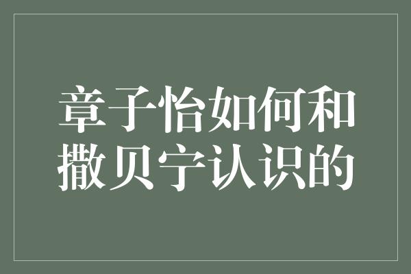 章子怡如何和撒贝宁认识的