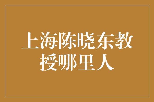 上海陈晓东教授哪里人