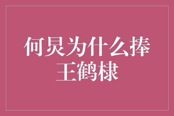 何炅为什么捧王鹤棣