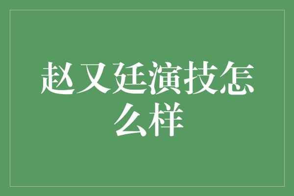 赵又廷演技怎么样