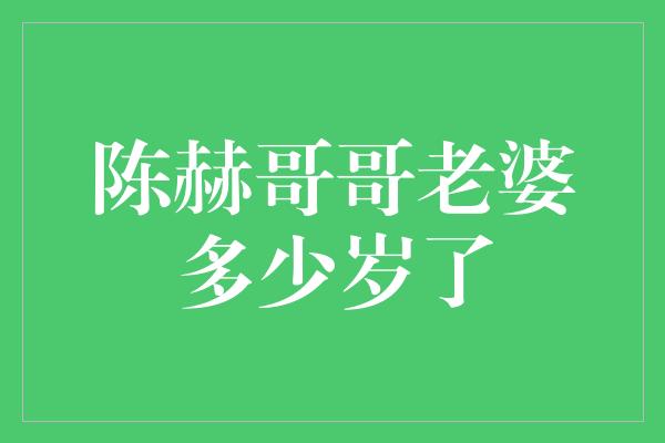 陈赫哥哥老婆多少岁了