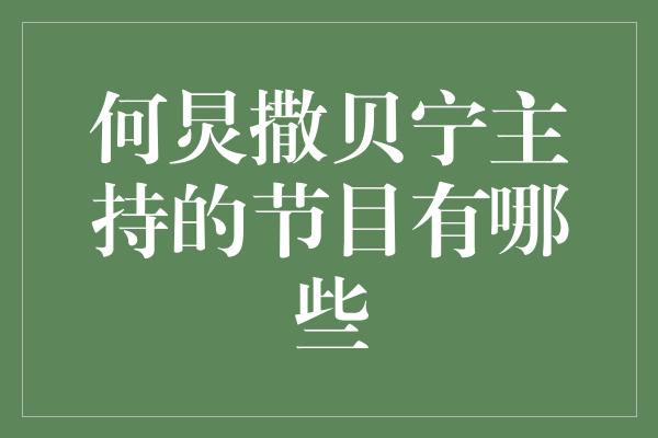 何炅撒贝宁主持的节目有哪些