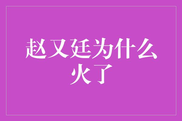 赵又廷为什么火了