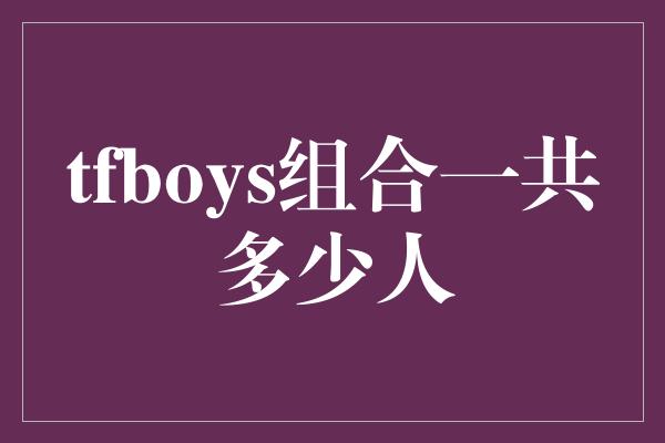 tfboys组合一共多少人