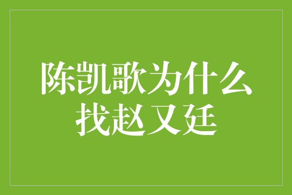 陈凯歌为什么找赵又廷