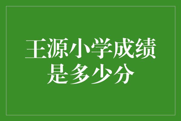 王源小学成绩是多少分