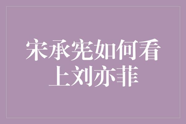 宋承宪如何看上刘亦菲