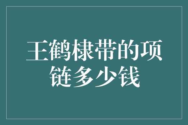 王鹤棣带的项链多少钱