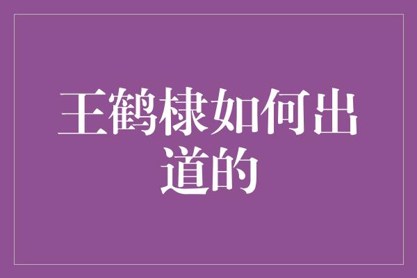 王鹤棣如何出道的