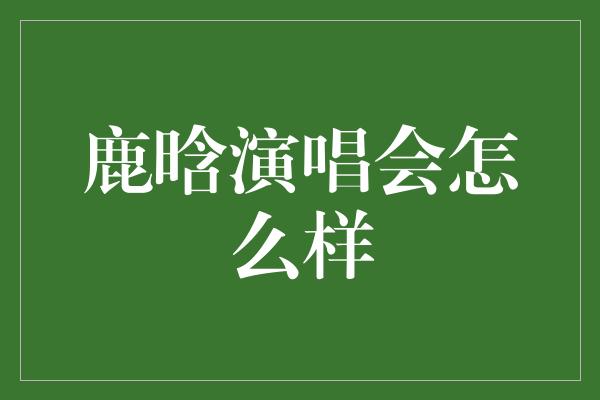 鹿晗演唱会怎么样