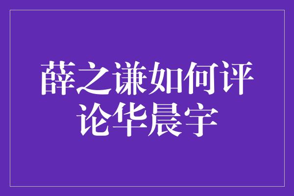 薛之谦如何评论华晨宇