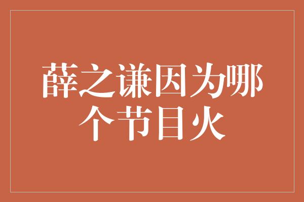 薛之谦因为哪个节目火