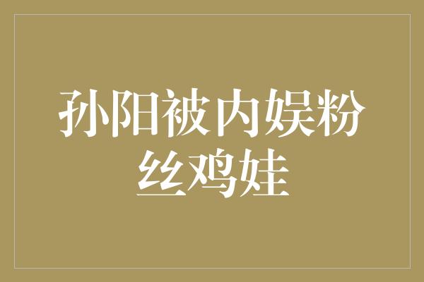 孙阳被内娱粉丝鸡娃