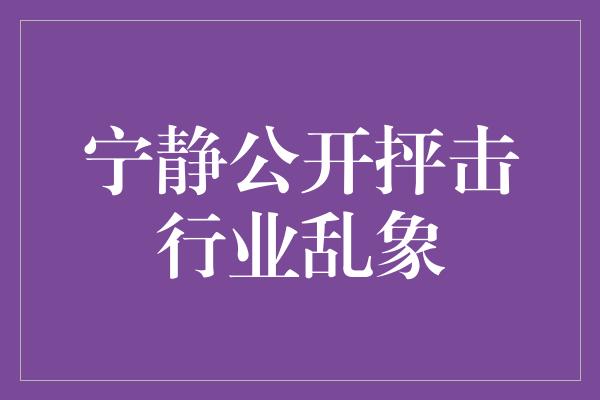 宁静公开抨击行业乱象