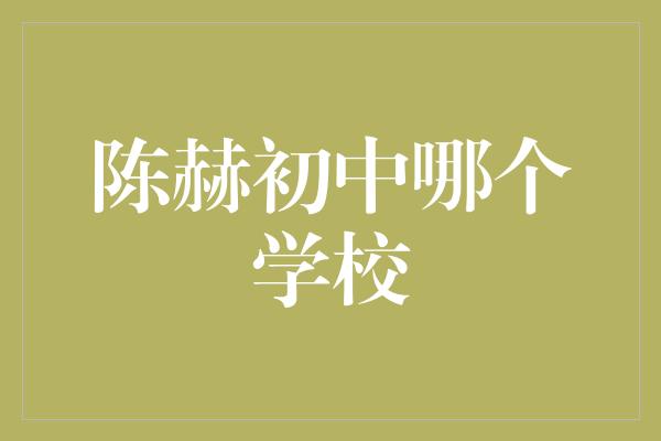 陈赫初中哪个学校