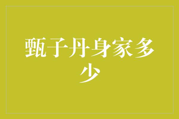 甄子丹身家多少