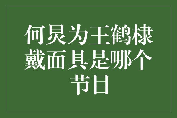 何炅为王鹤棣戴面具是哪个节目