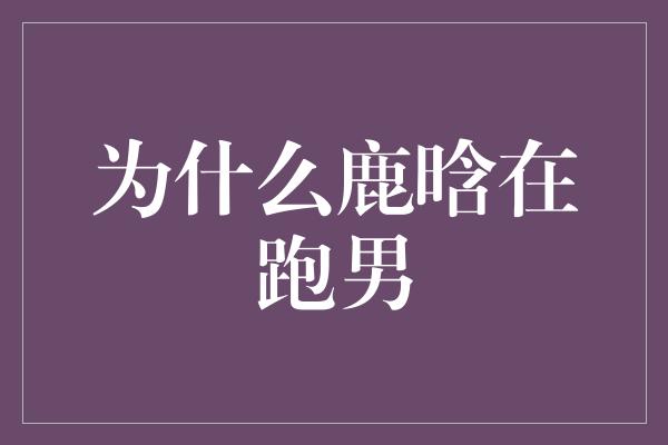 为什么鹿晗在跑男