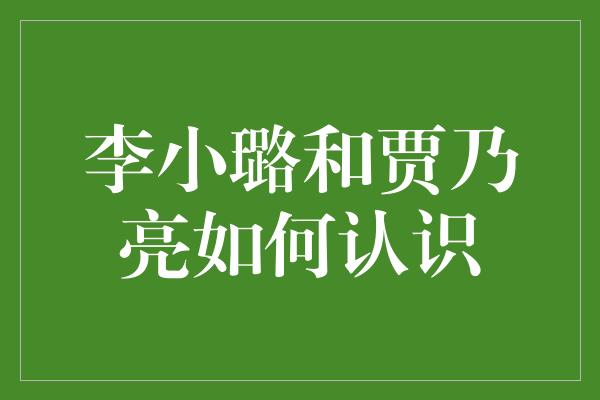 李小璐和贾乃亮如何认识