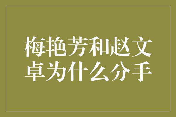 梅艳芳和赵文卓为什么分手