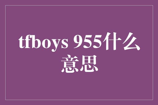 tfboys 955什么意思