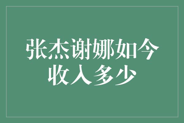 张杰谢娜如今收入多少