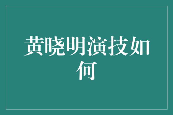 黄晓明演技如何