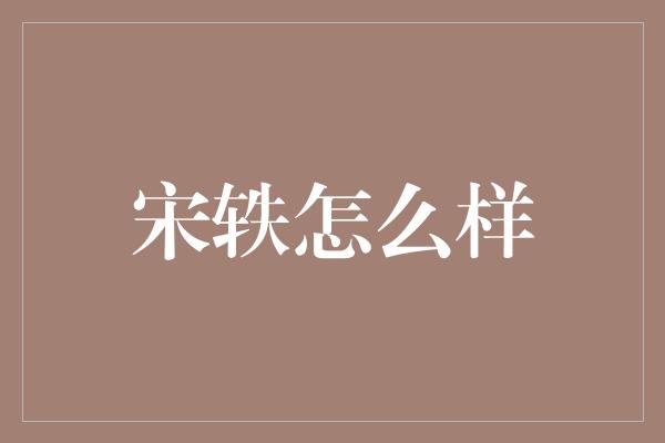 宋轶怎么样