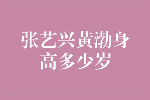 张艺兴黄渤身高多少岁