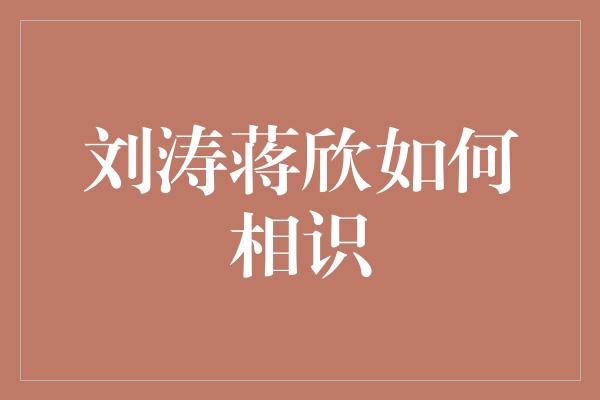 刘涛蒋欣如何相识