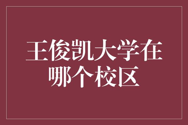 王俊凯大学在哪个校区