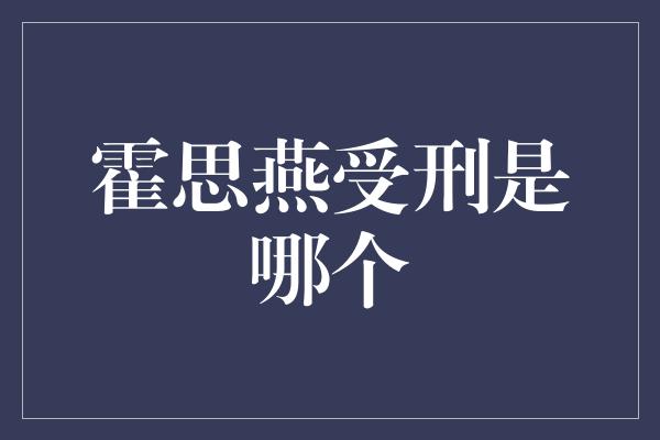 霍思燕受刑是哪个