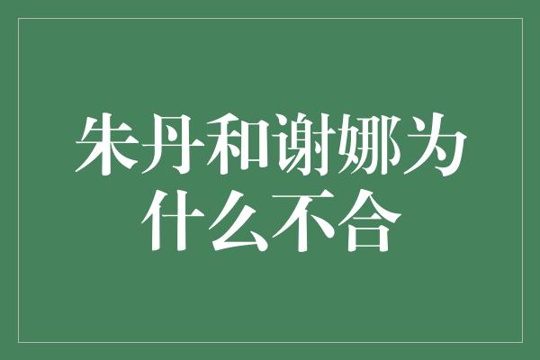 朱丹和谢娜为什么不合