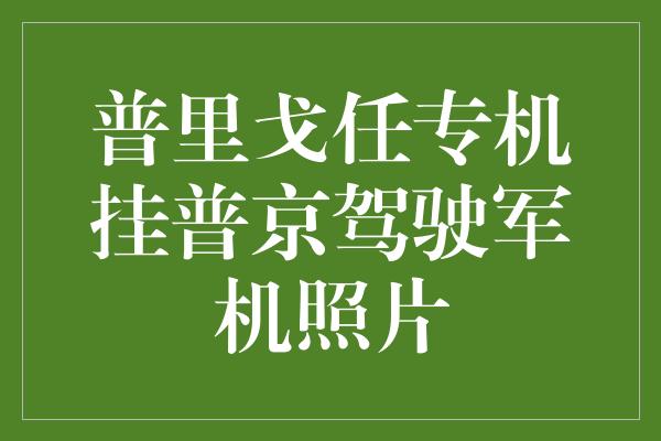 普里戈任专机挂普京驾驶军机照片