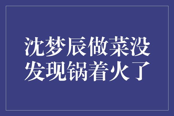 沈梦辰做菜没发现锅着火了