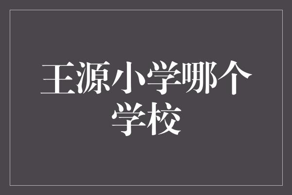 王源小学哪个学校