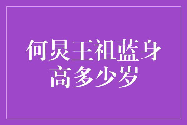 何炅王祖蓝身高多少岁