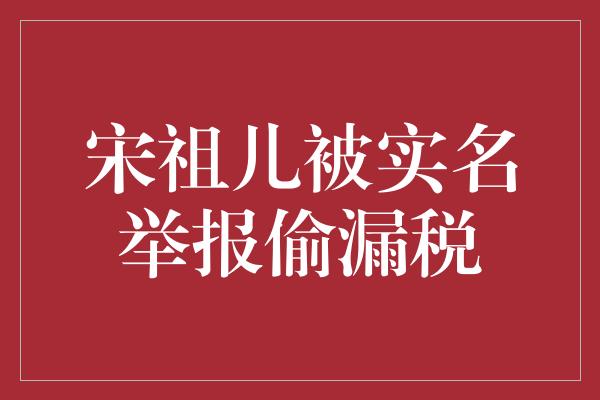 宋祖儿被实名举报偷漏税