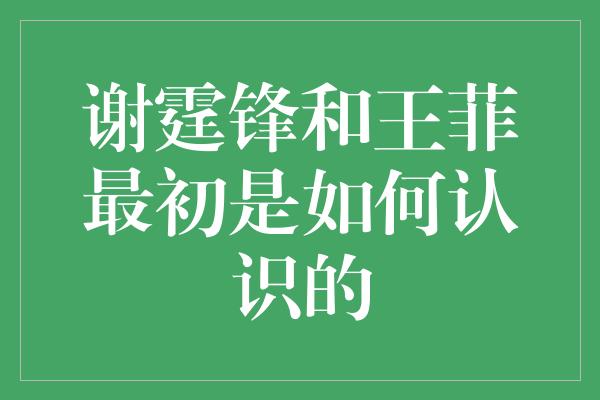 谢霆锋和王菲最初是如何认识的