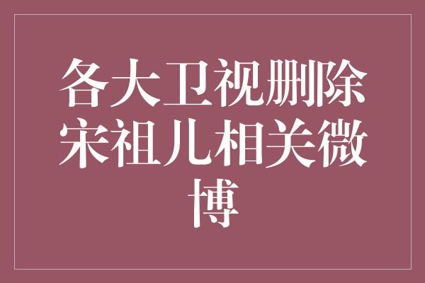 各大卫视删除宋祖儿相关微博