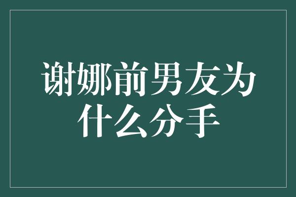 谢娜前男友为什么分手