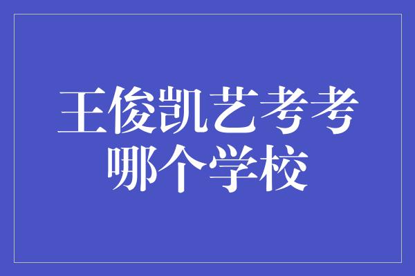 王俊凯艺考考哪个学校